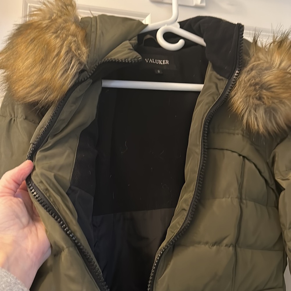 Winter Coat - Picture 3 of 5